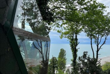 283865018_324559933173599_5480906073129088264_n