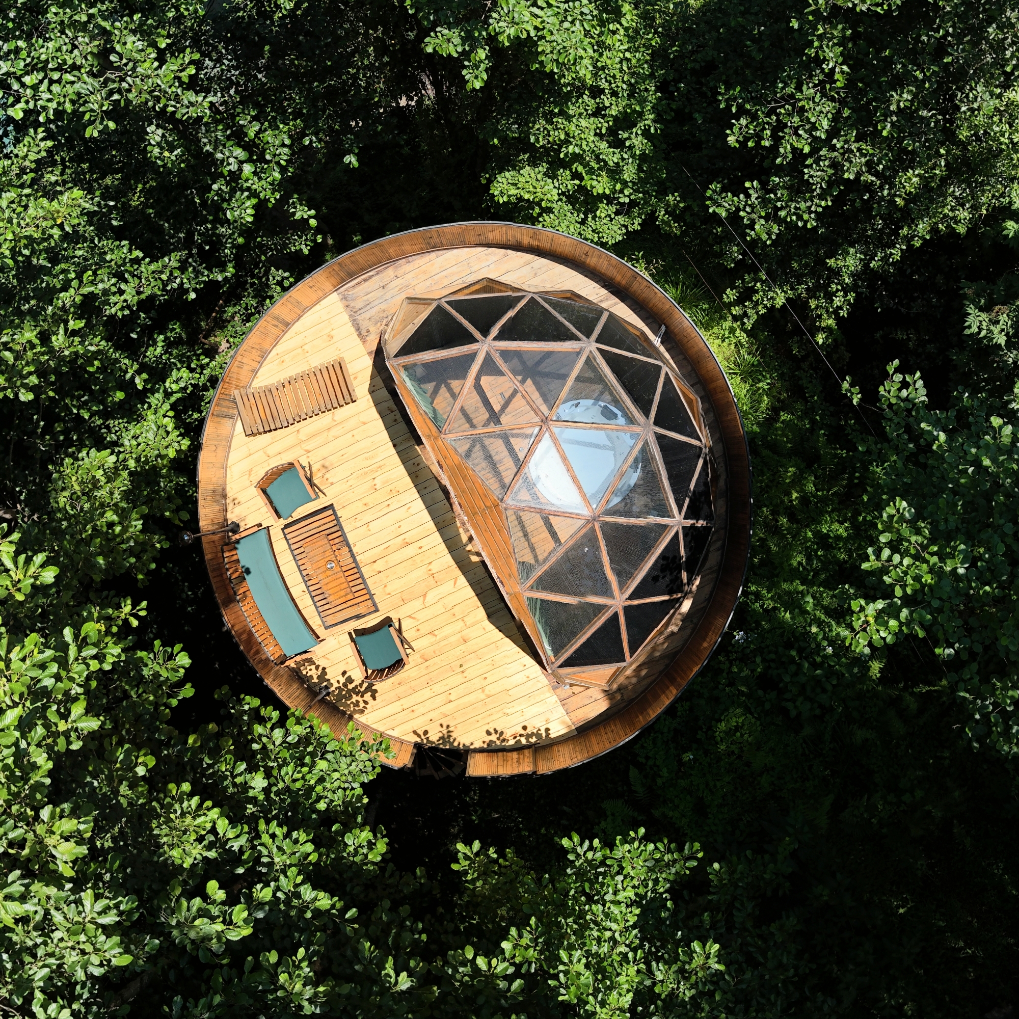 Dome 5